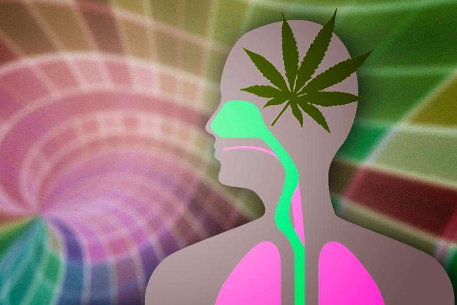 mente cannabis